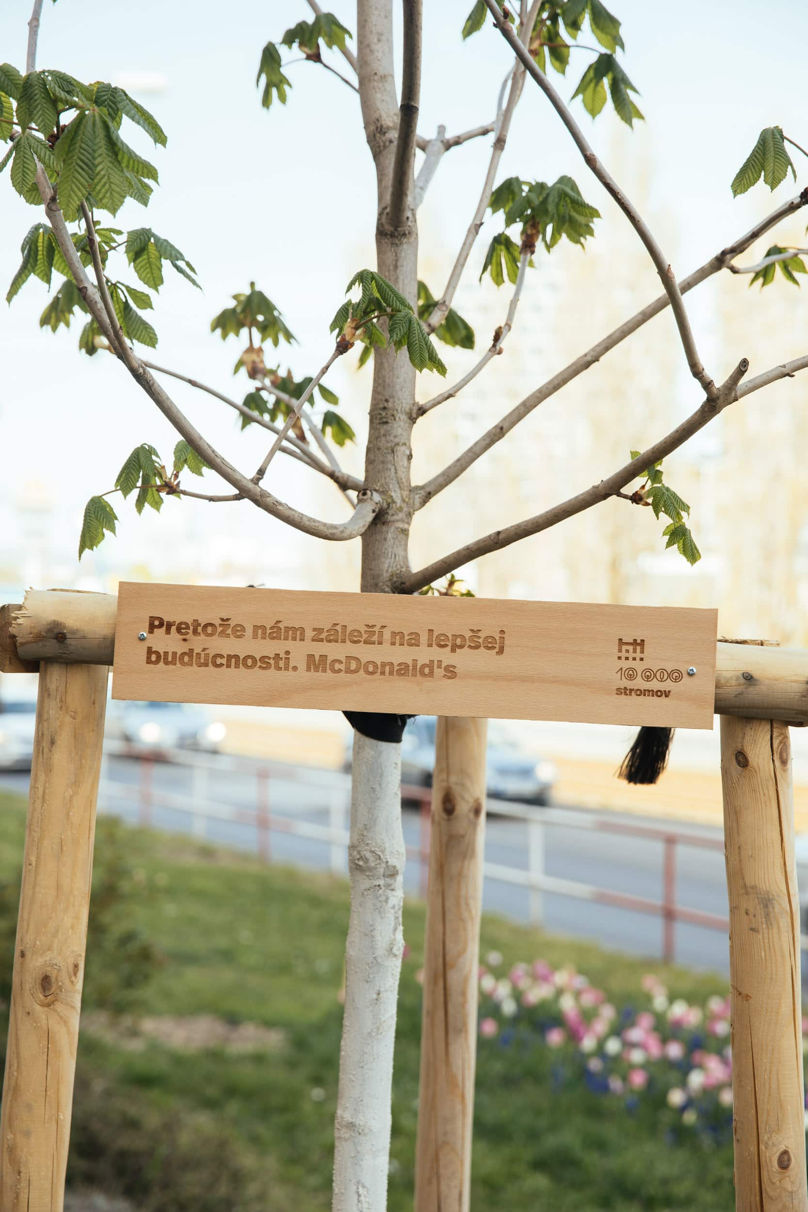 McDonald’s_vysadeny strom s ceduľkou