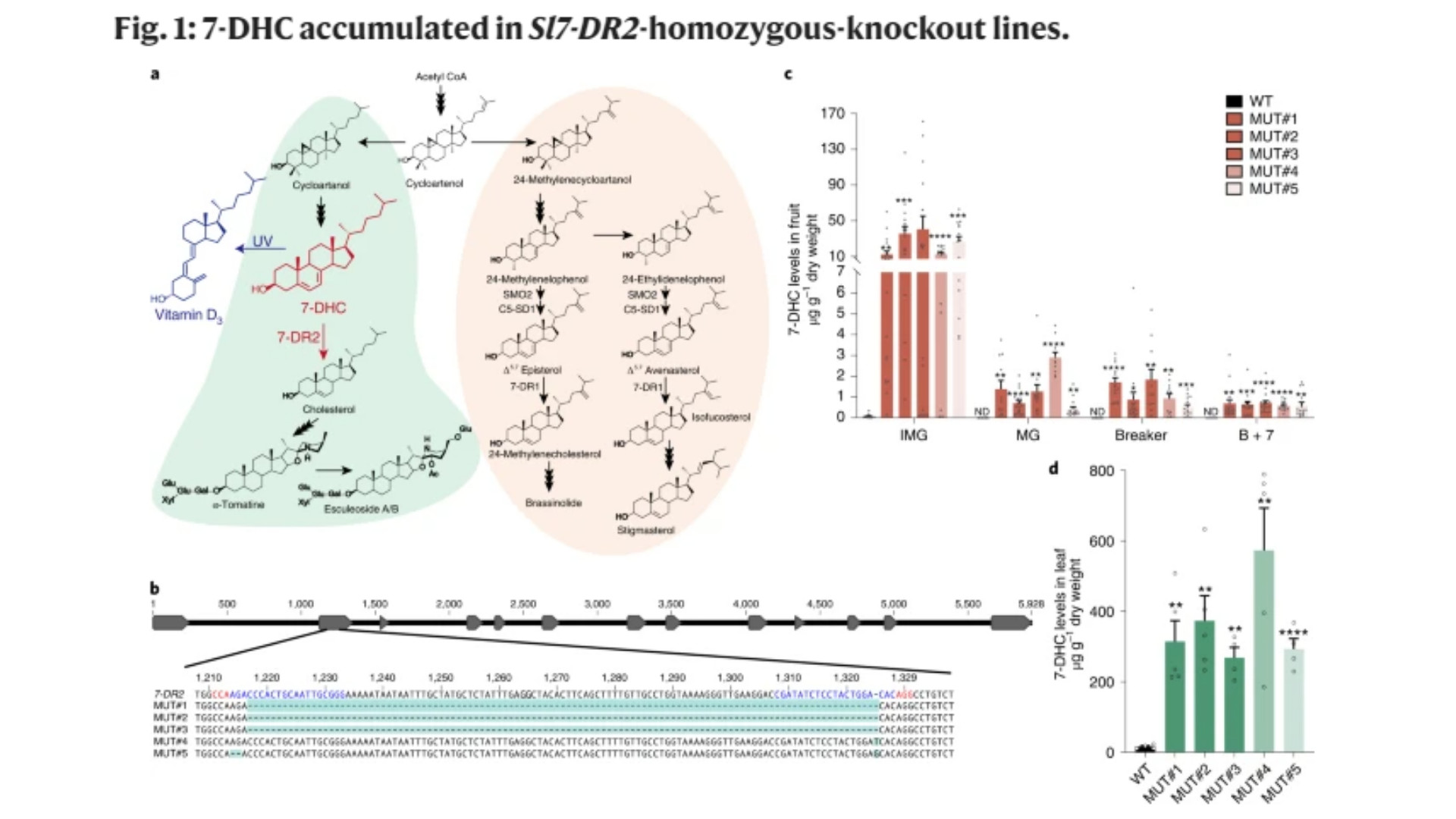 graf, výskum, paradajky, vitamín D3
