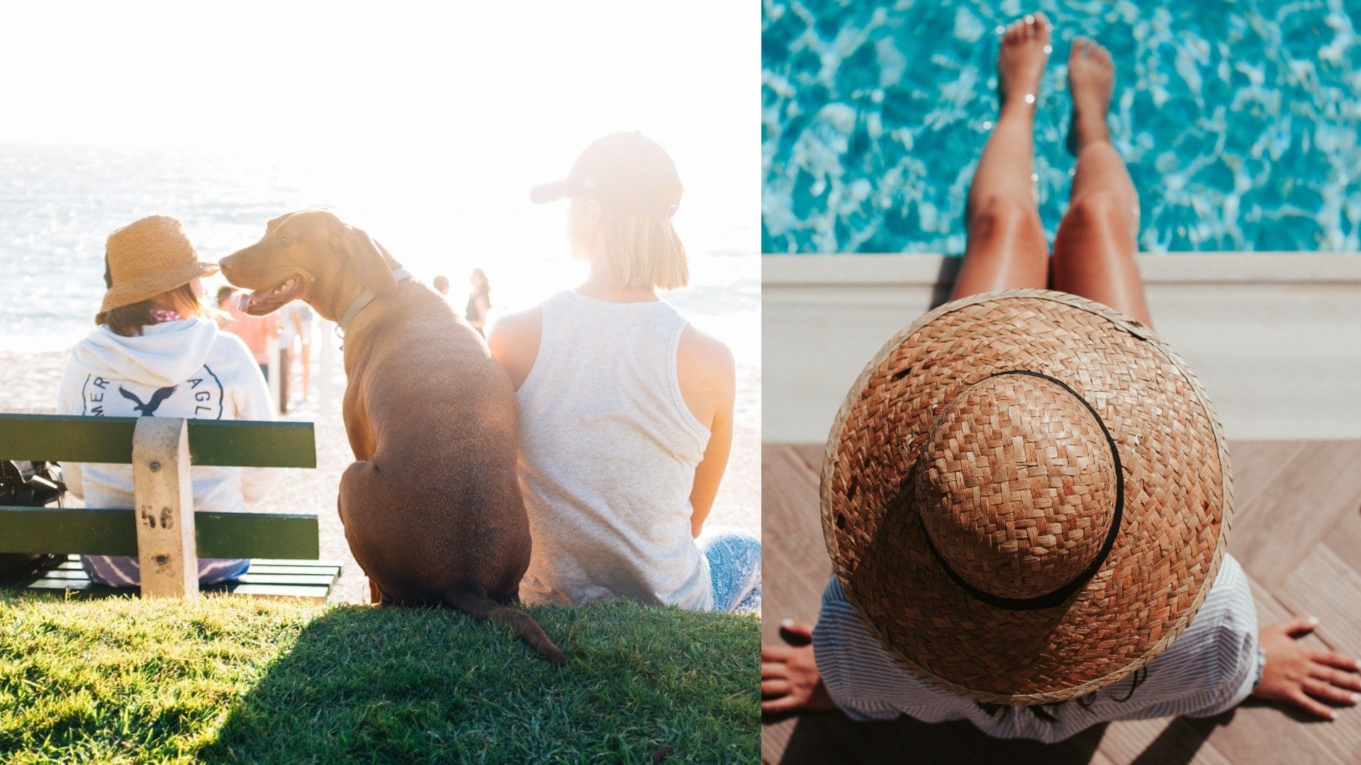 počasie, leto, teplo, teploty