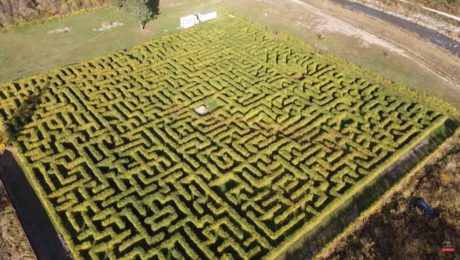 Slovensko čoskoro otvorí