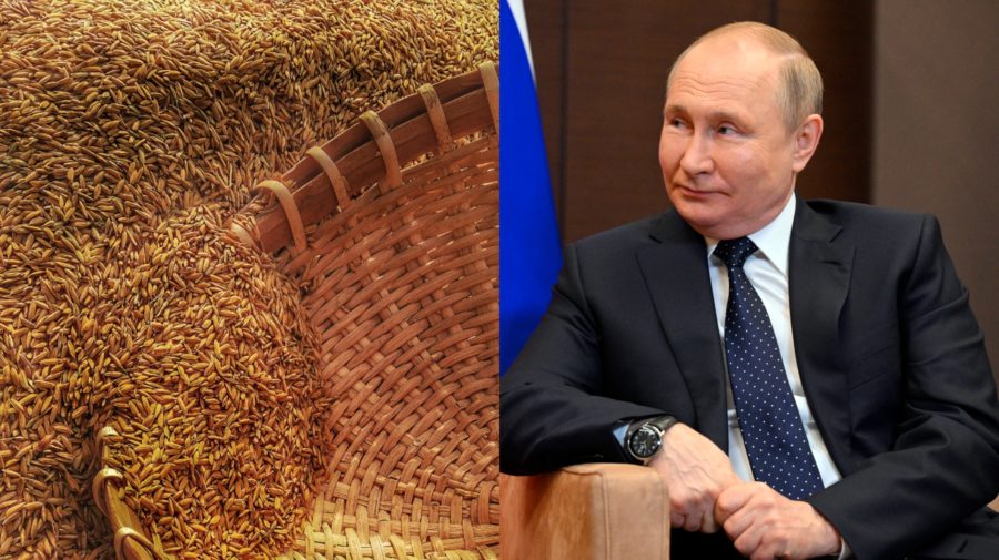 Pšenica, Putin, obilie