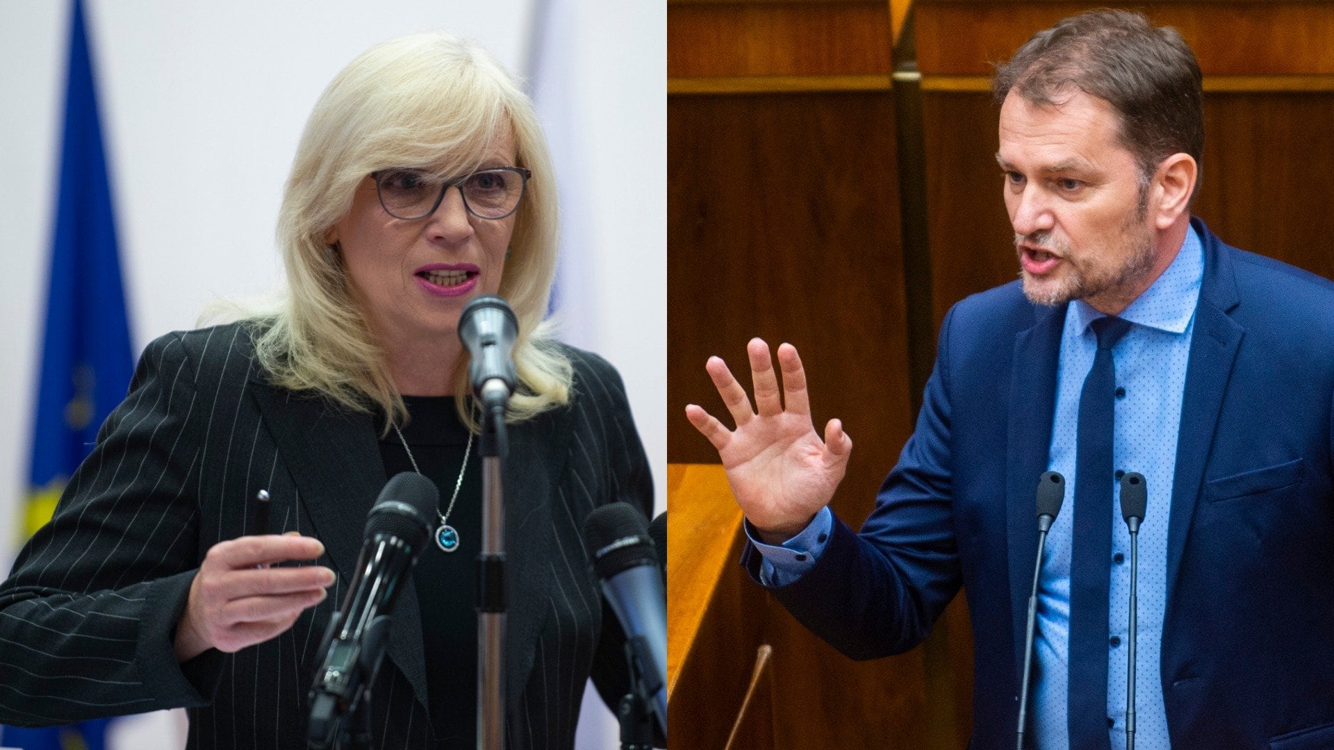 Iveta Radičová a Igor Matovič