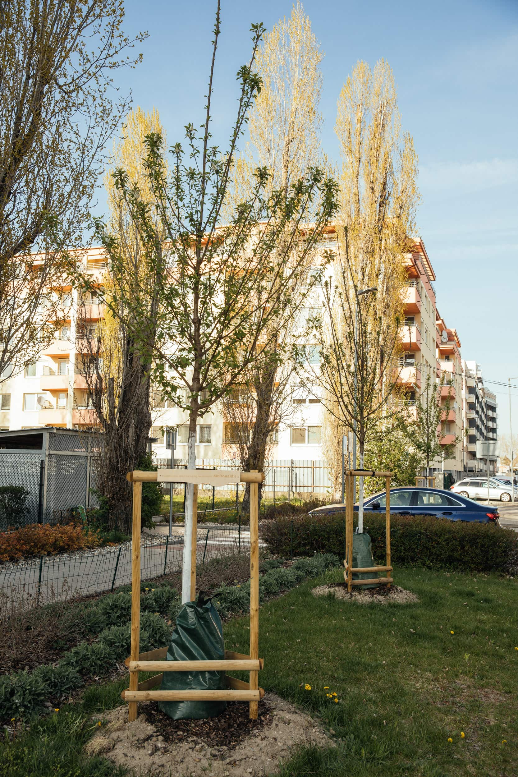 Stromoradie_Na Križovatkách