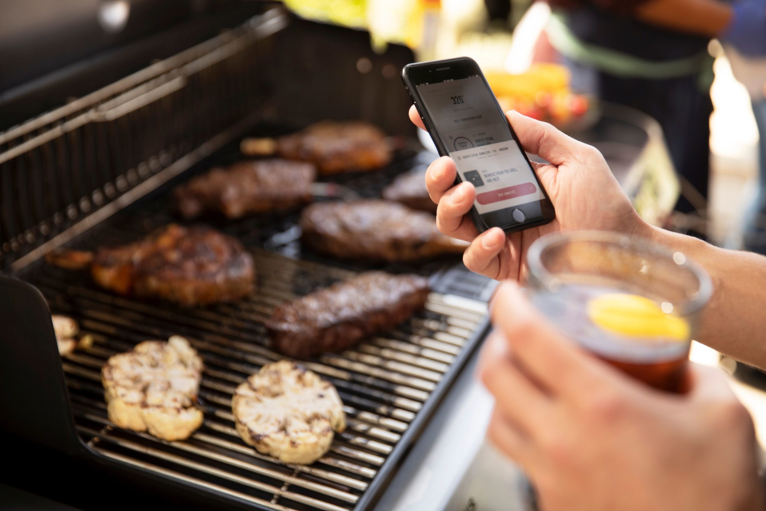 02_Genesis_Stainless_SearGrate_9538_rgb_