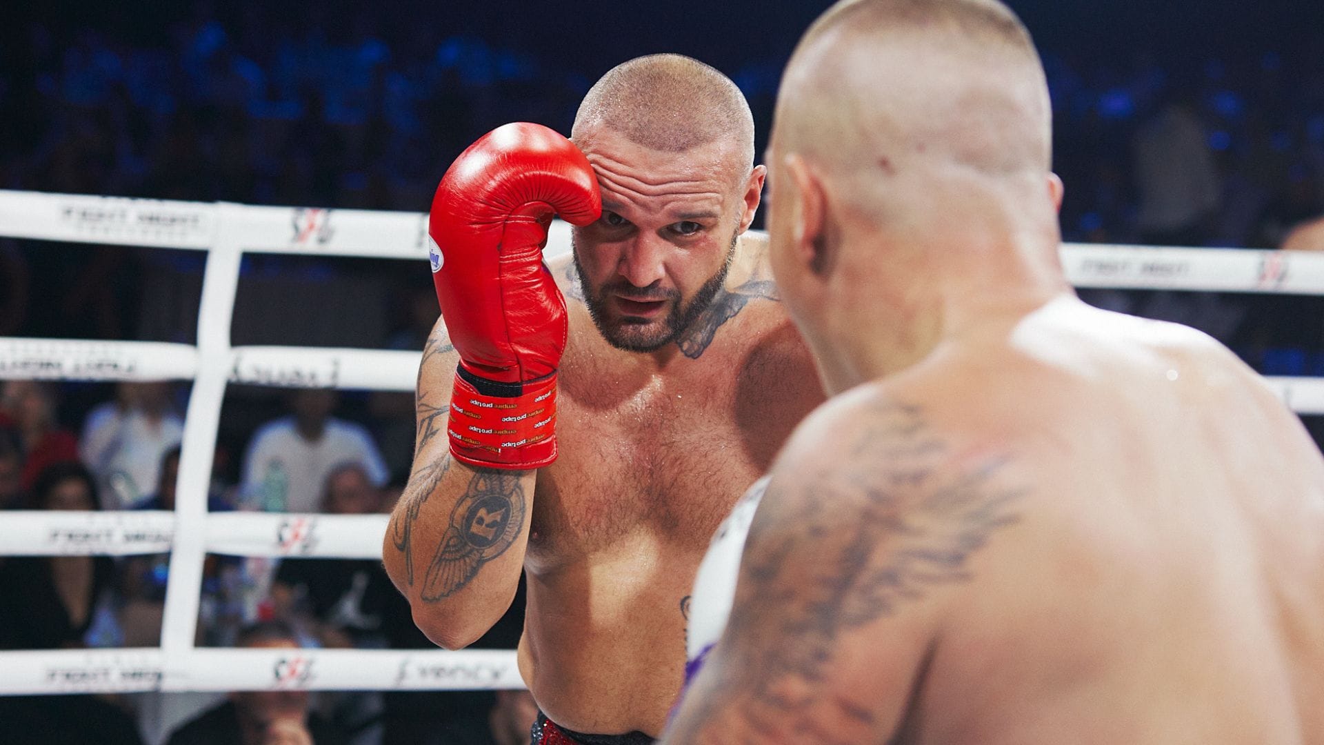 fight night challenge, rytmus, moloch