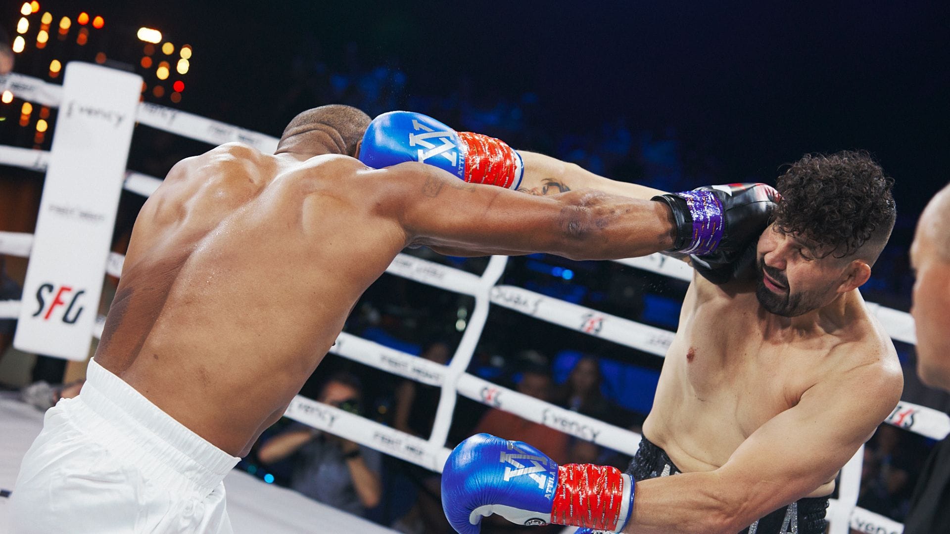 fight night challenge, newton, vegh