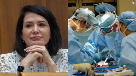 Cigániková ruky zamyslená