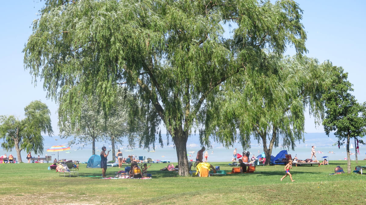 Trávnatá pláž, ľudia sedia pod stromom na dekách