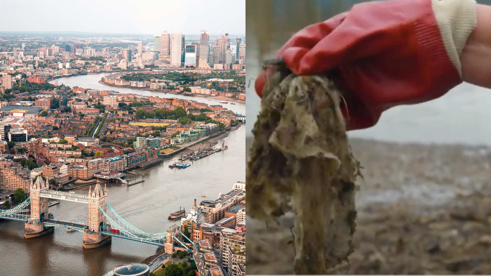 vlhčené obrúsky utierky