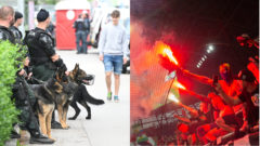 policajní psovodi a výtržníci na futbalovom zápase