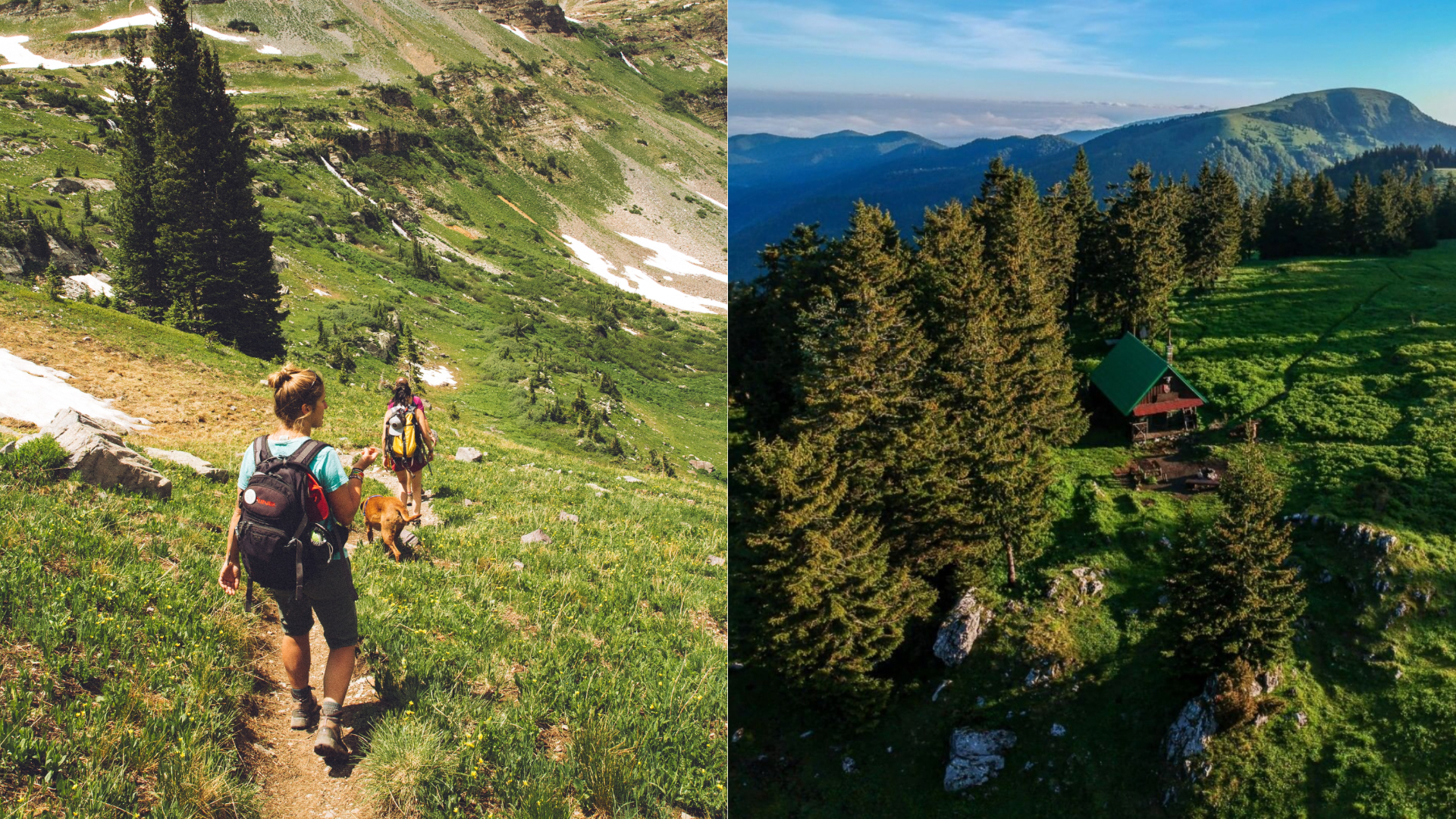 útulne na Slovensku