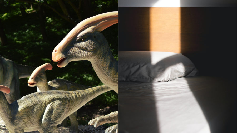dinosaury postel