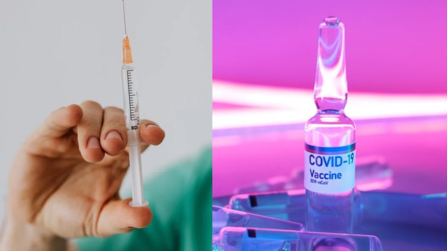 Na snímke vakcína proti Covidu.