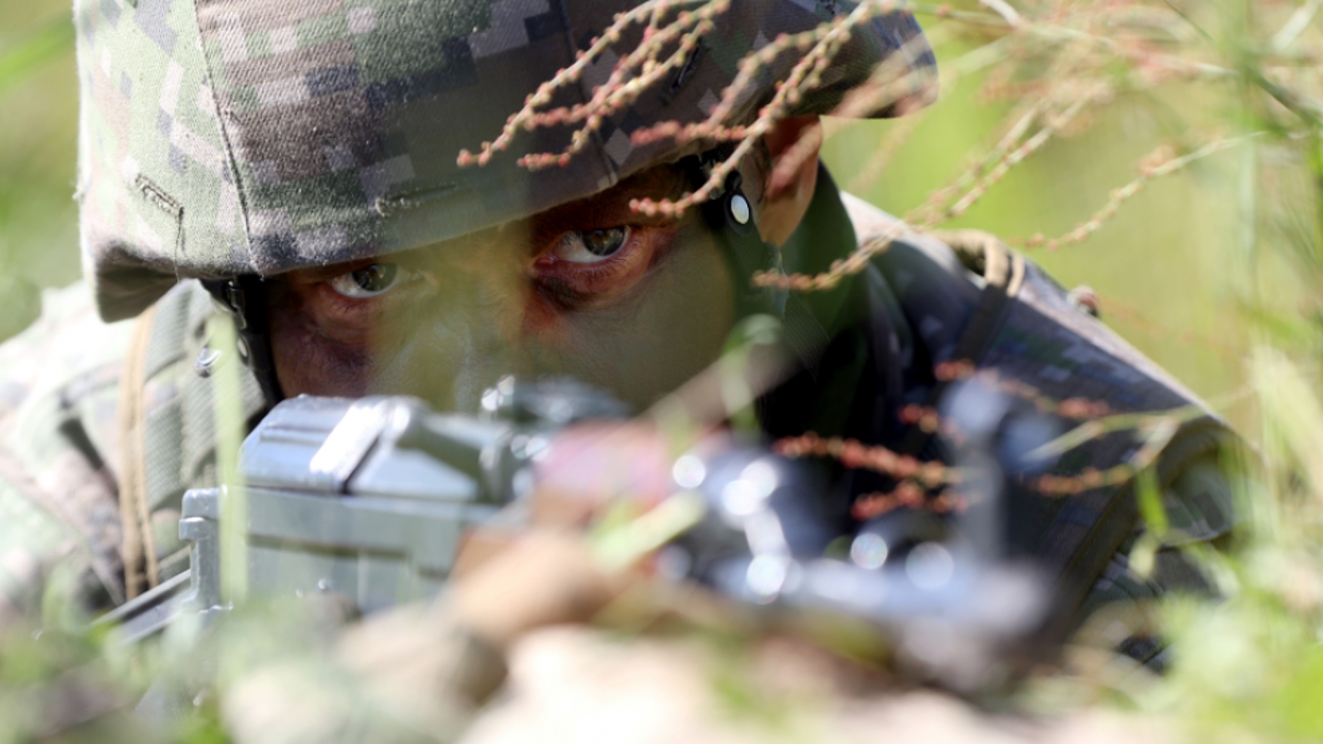 Vojenské sily Slovenskej republiky.