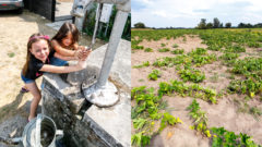 Deti si naberajú vodu v obrovských horúčavách počas veľkého sucha. Pôda a polia trpia pre nedostatok vody