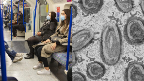 obrázok opičích kiahní pod mikroskopom a ľudia sediaci v metre s rúškami