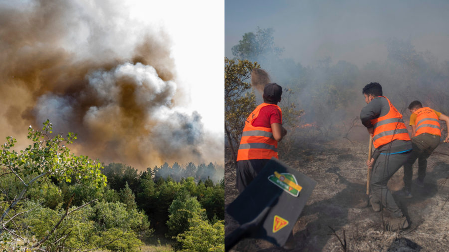 Obrovský požiar, horiace stromy a kríky, hasiči zasahujú v dyme a ohni