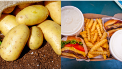 vpravo hamburger, nápoj a hranolky z rýchleho občerstvenia, vľavo zemiaky