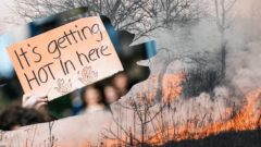 infosecurity požiar klimatická kríza