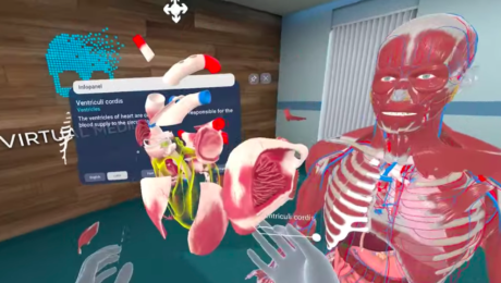 Anatómia ľudského tela vo virtuálnej realite
