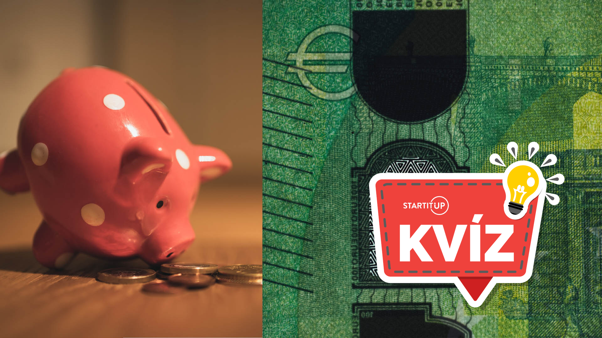 Pokladnička v tvare prasiatka 