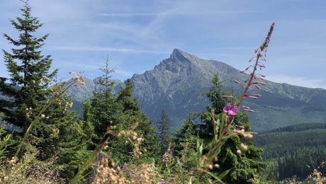 kriváň tatry