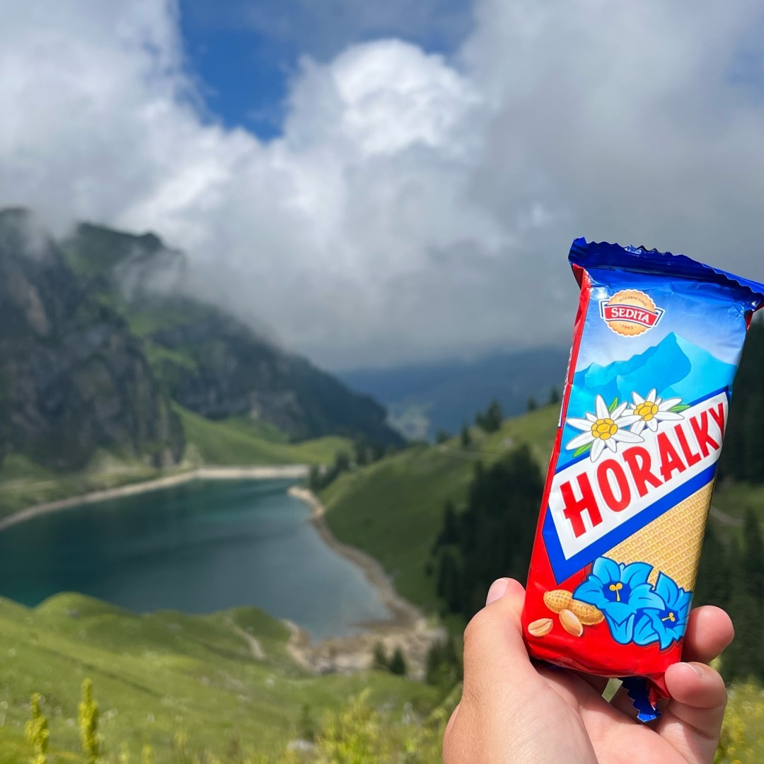 300241962_8154871101204718_5807471230070027854_n