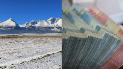 lomnica, investícia