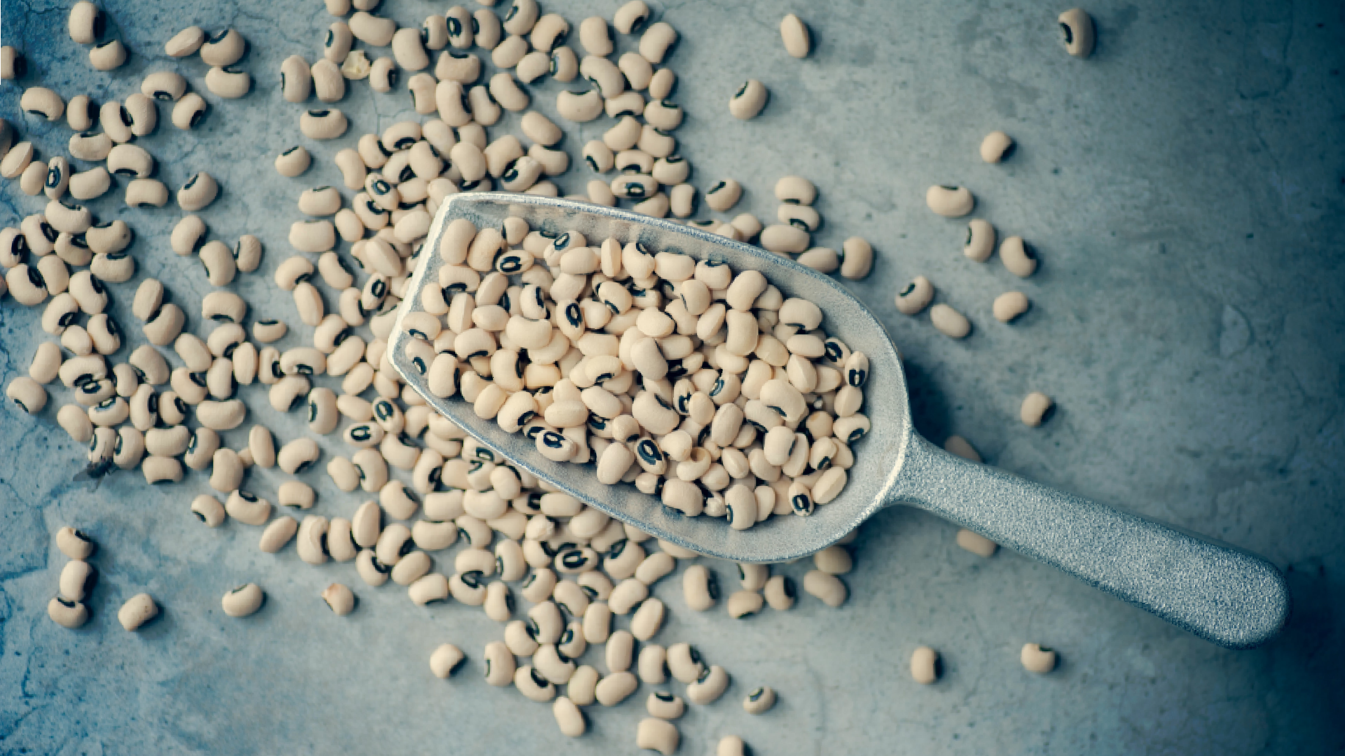 fazule vigny čínskej na naberačke