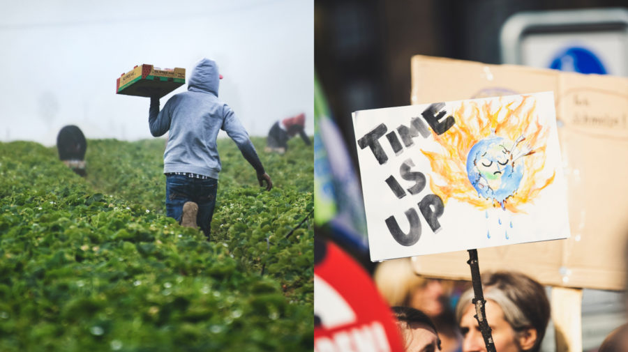 zbieranie plodín na poli, protest proti globálnemu otepľovaniu