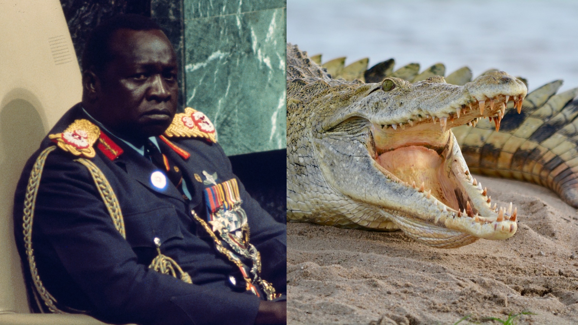 Idi Amin Hitler z Afriky