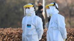 Na snímke sú zdravotníci v ochranných oblekoch proti covidu.