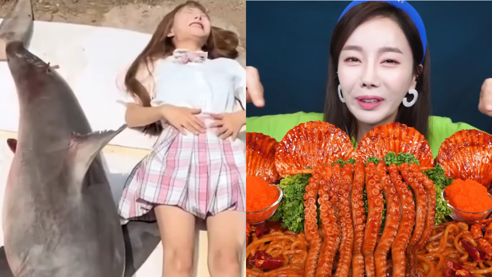 influencerka ležiaca pri bielom žralokovi a záber z mukbang videa