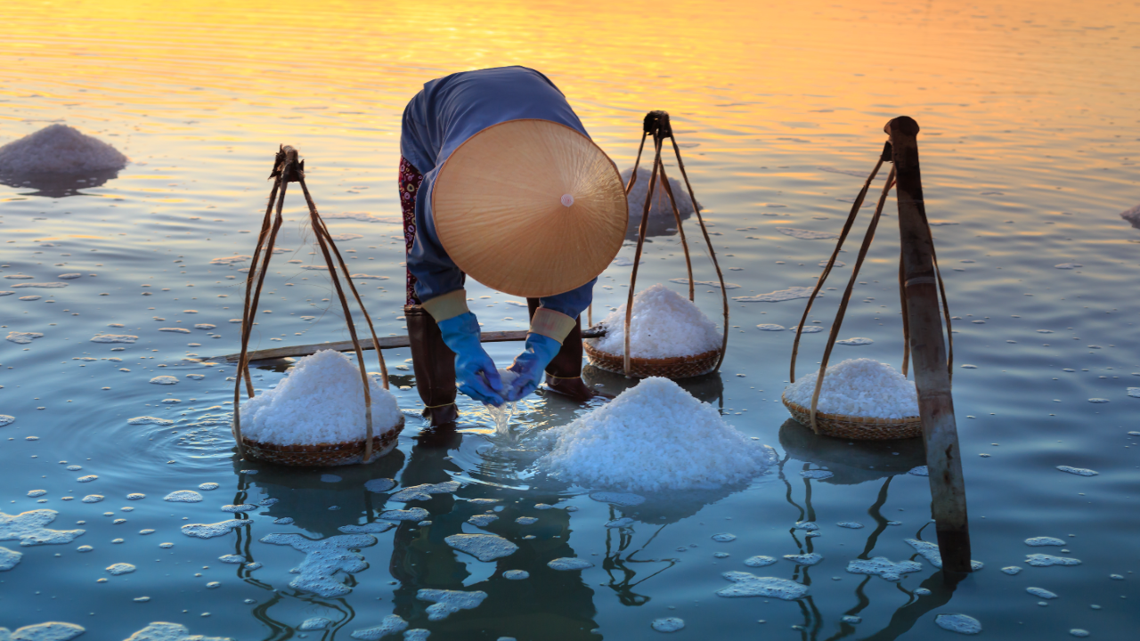 čínsky muž pri zbere soli