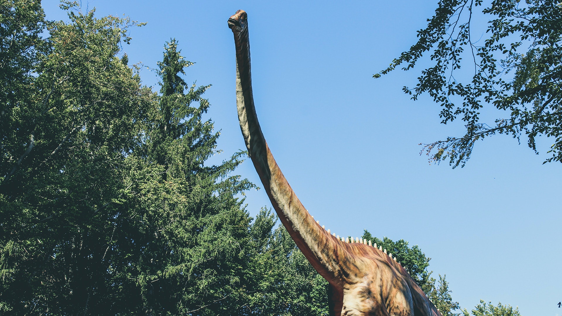 model dinosaura s dlhým krkom