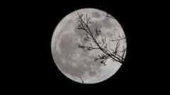 mesiac v splne