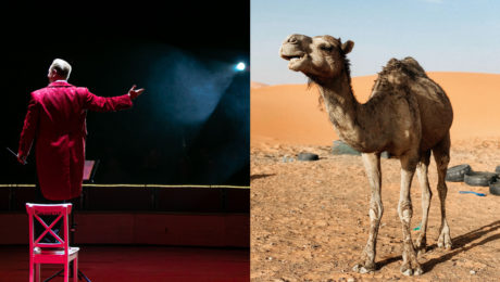 Principál cirkusu vľavo stojac na stoličke na javisku, vpravo ťaha v púšti