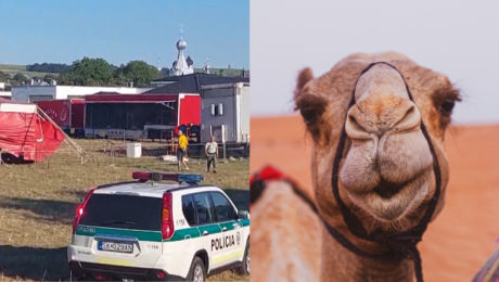 Tragédia v Stropkove: