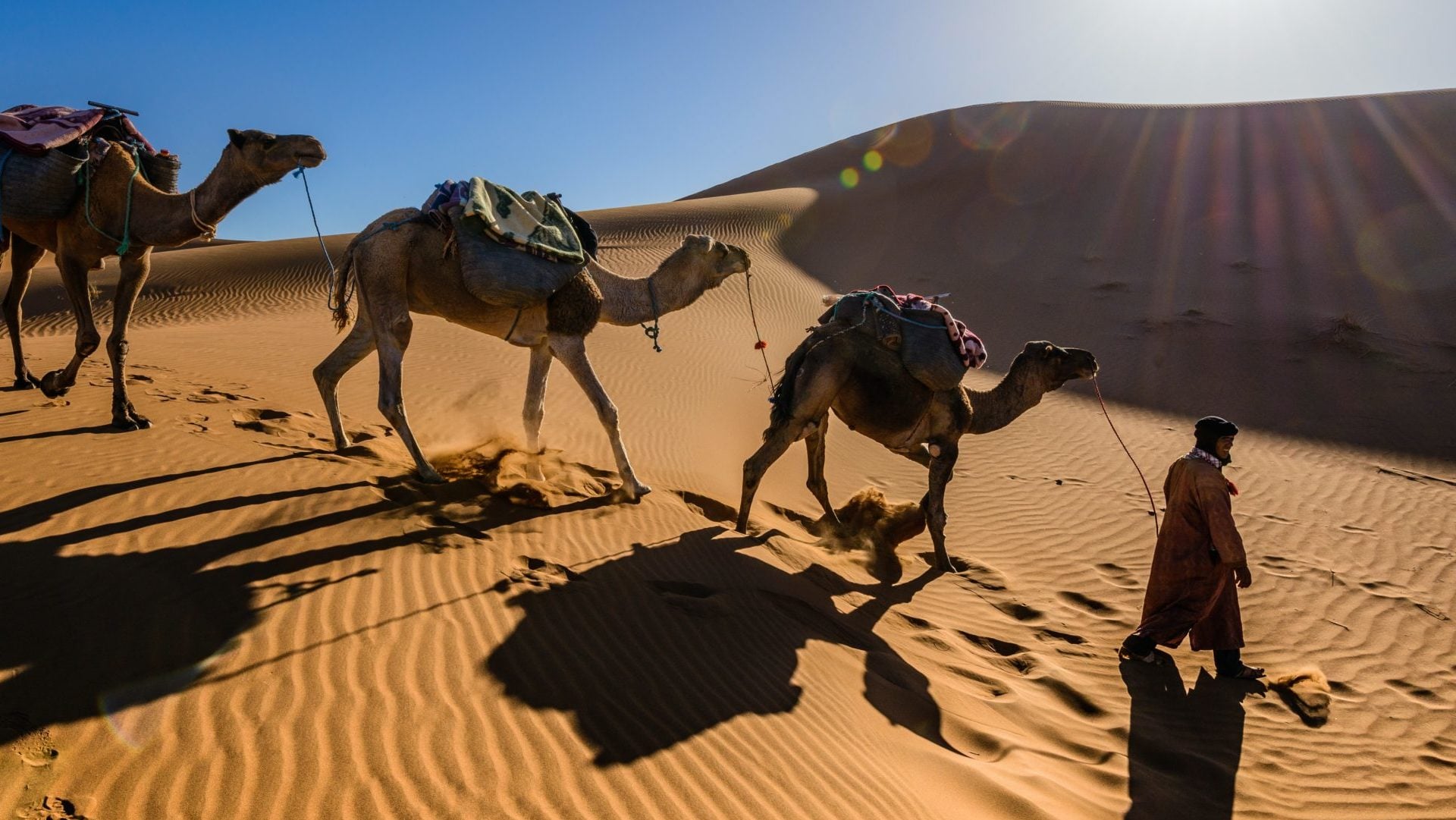 muž prevádzajúci ťavy cez púšť