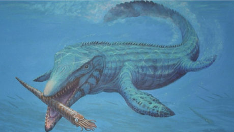 Fascinujúci objav: Vedci objavili skamenené monštrum, ktoré vymrelo s dinosaurami. Kedysi bolo kráľom oceánov