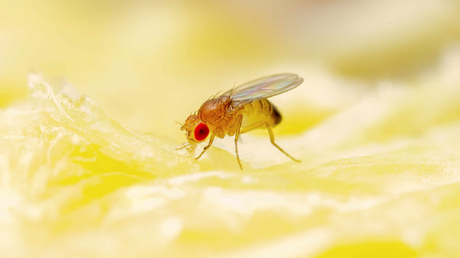 Untitled design – 2022-08-17T090648.654