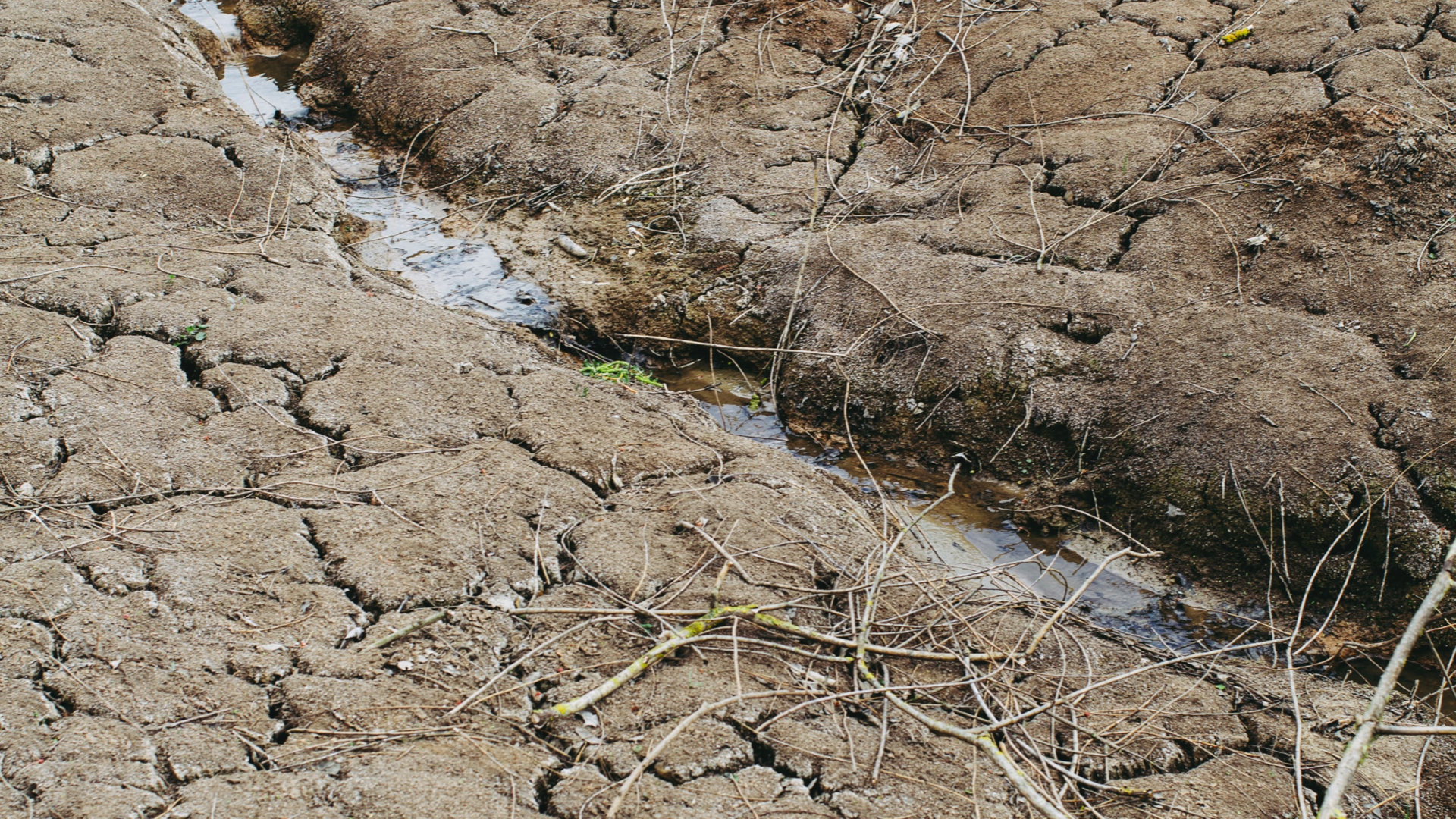 Vyschnutá pôda a potom