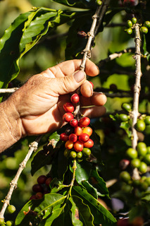 2021_Nespresso_PR-5336