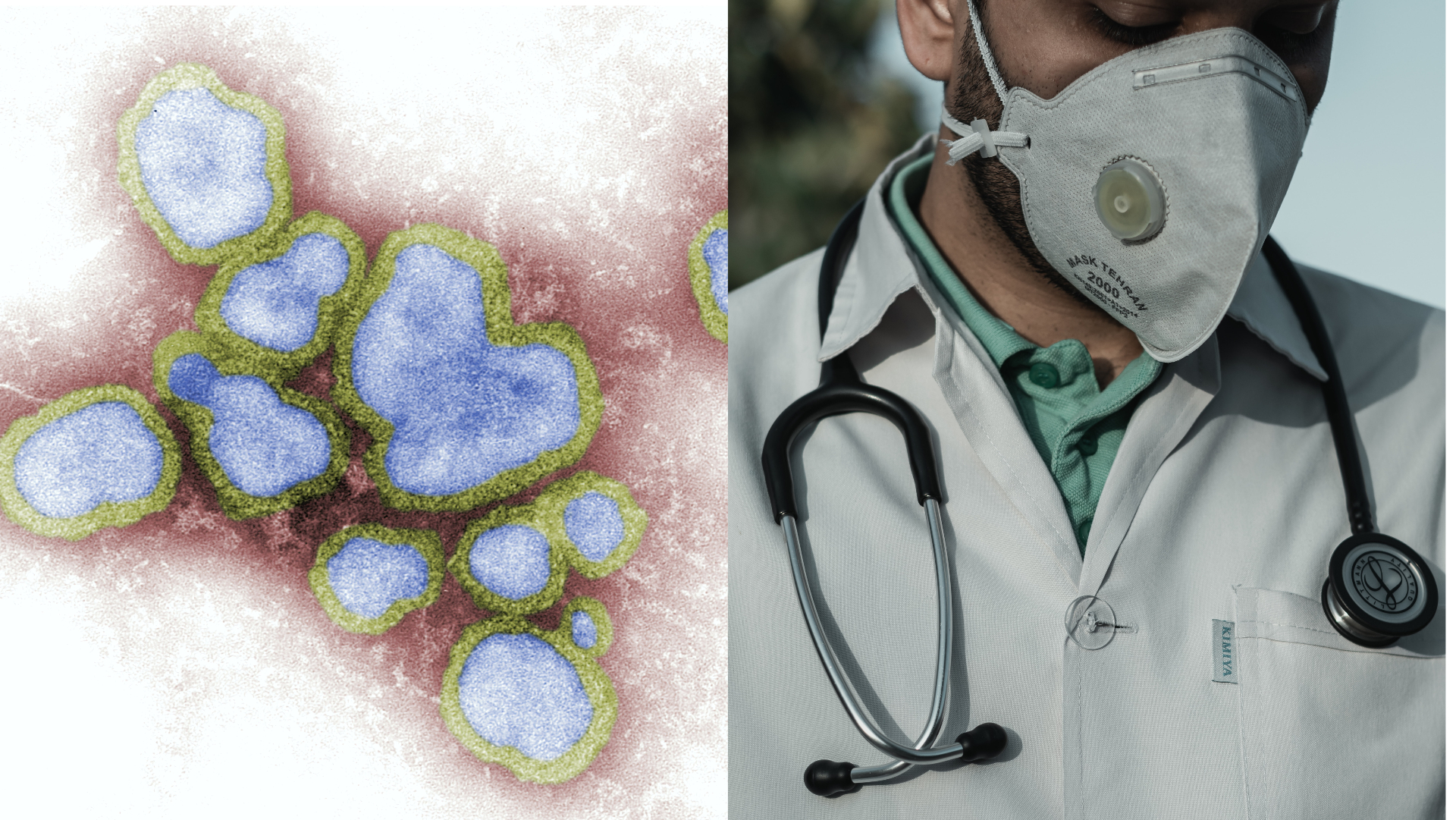 vľavo mikroskopický záber na baktérie, vpravo, lekár s respirátorom a fonendoskopom
