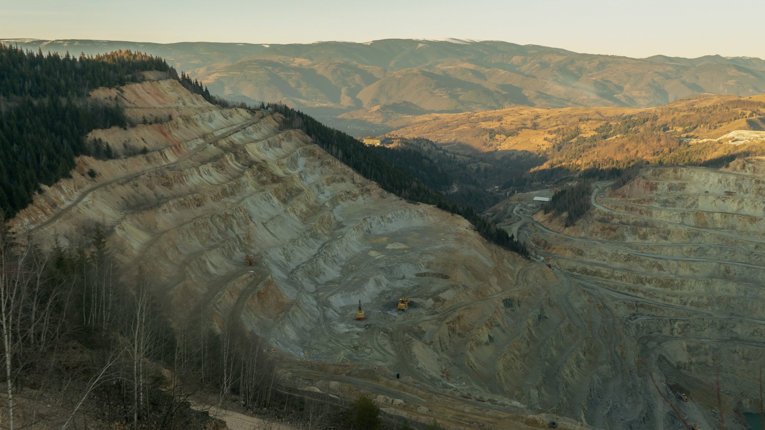 Bana Rosia Poieni-min