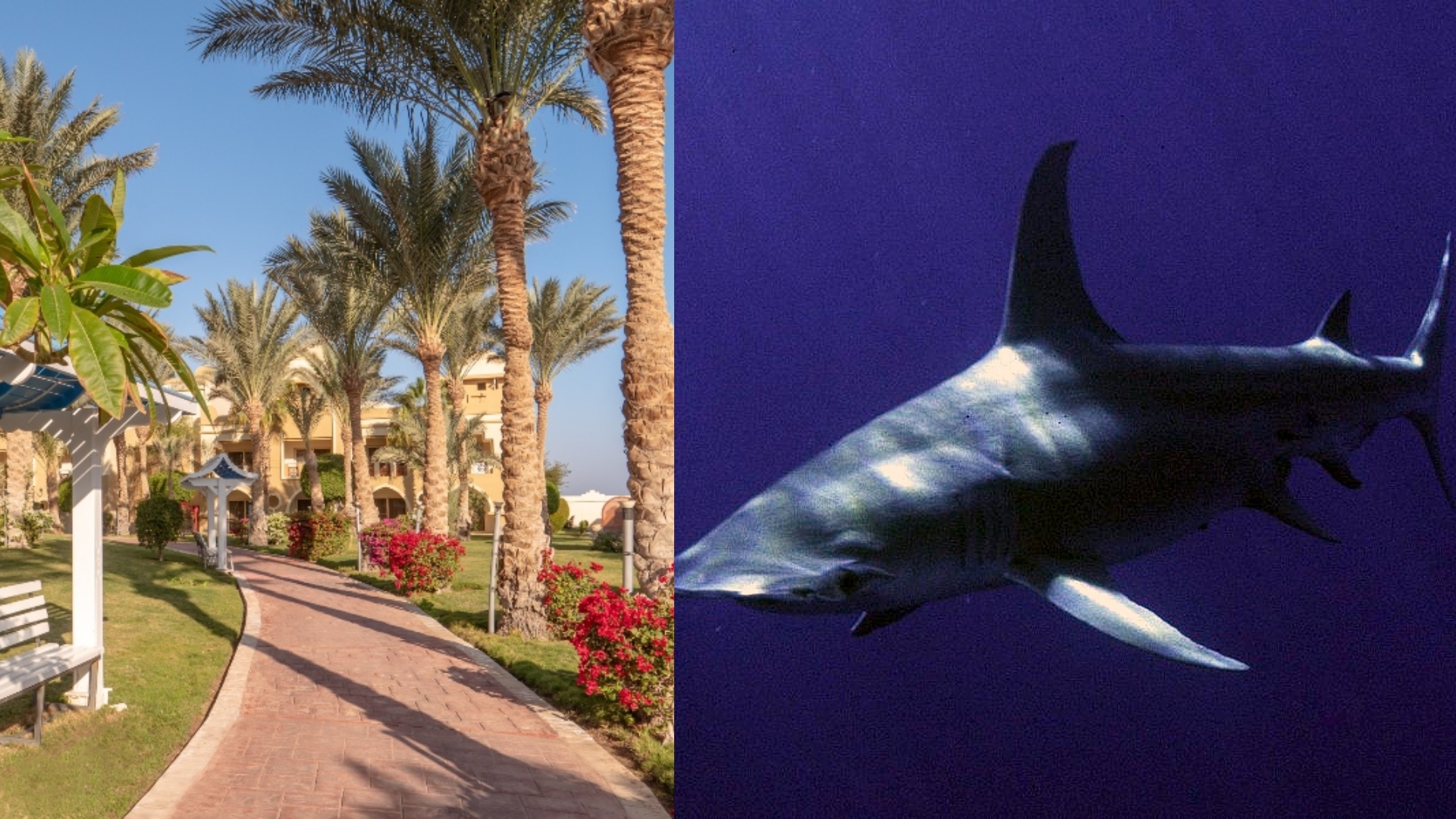 Hotel Serenity Beach