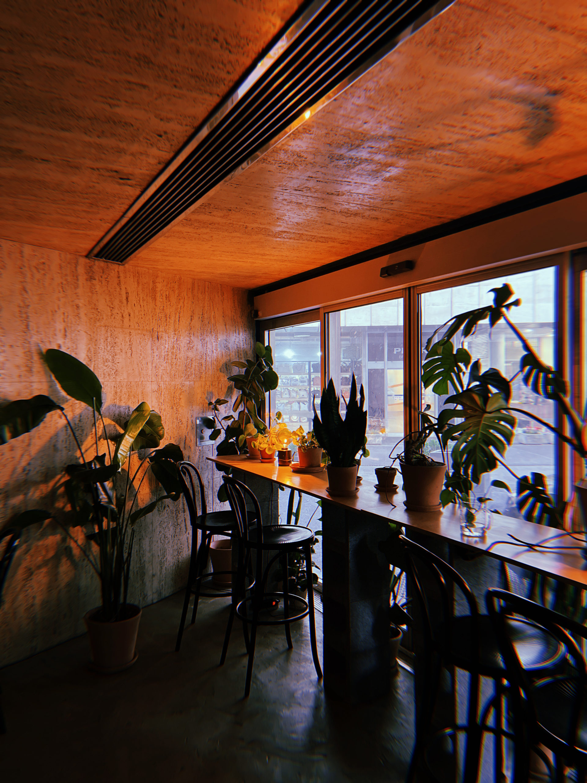 izbové rastliny v kaviarni