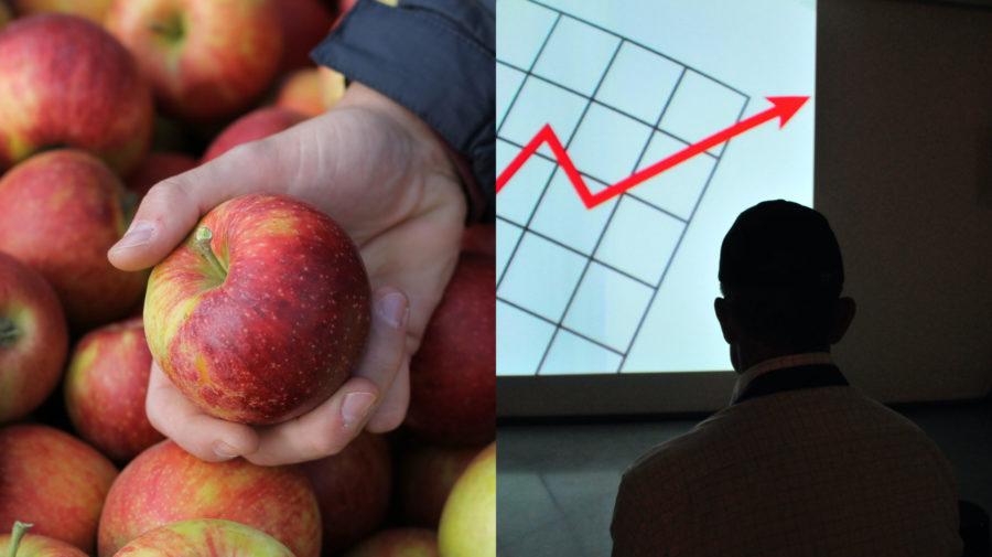 ruka drží jablko, graf rastu cien