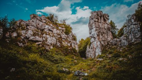 Dreveník a miestne skaly