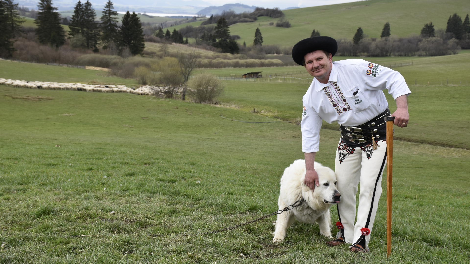 liptovský bača pózujúci so psom pred stádom oviec